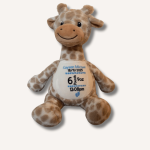 Personalised_Giraffe_SoftToy